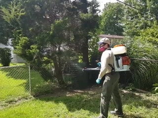 CloverWall Mosquito Control Treatment