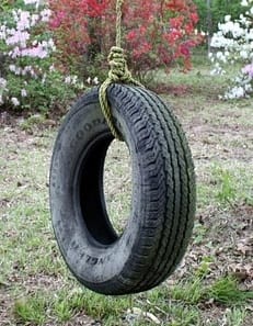 Tire Swing Stagnant Water