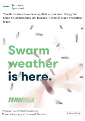 Terminix Pest Control Advertisement